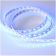 Светодиодная лента RT-B60-12mm 24V RGBW-Day-4-in-1 (19.2 W/m, IP20, 5060, 5m) в Казани Светодиодная лента RT-B60-12mm 24V RGBW-Day-4-in-1 (19.2 W/m, IP20, 5060, 5m) купить в Казани