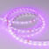 Светодиодная лента RT-B60-10mm 24V RGB (14.4 W/m, IP20, 5060, 5m) купить в Казани
